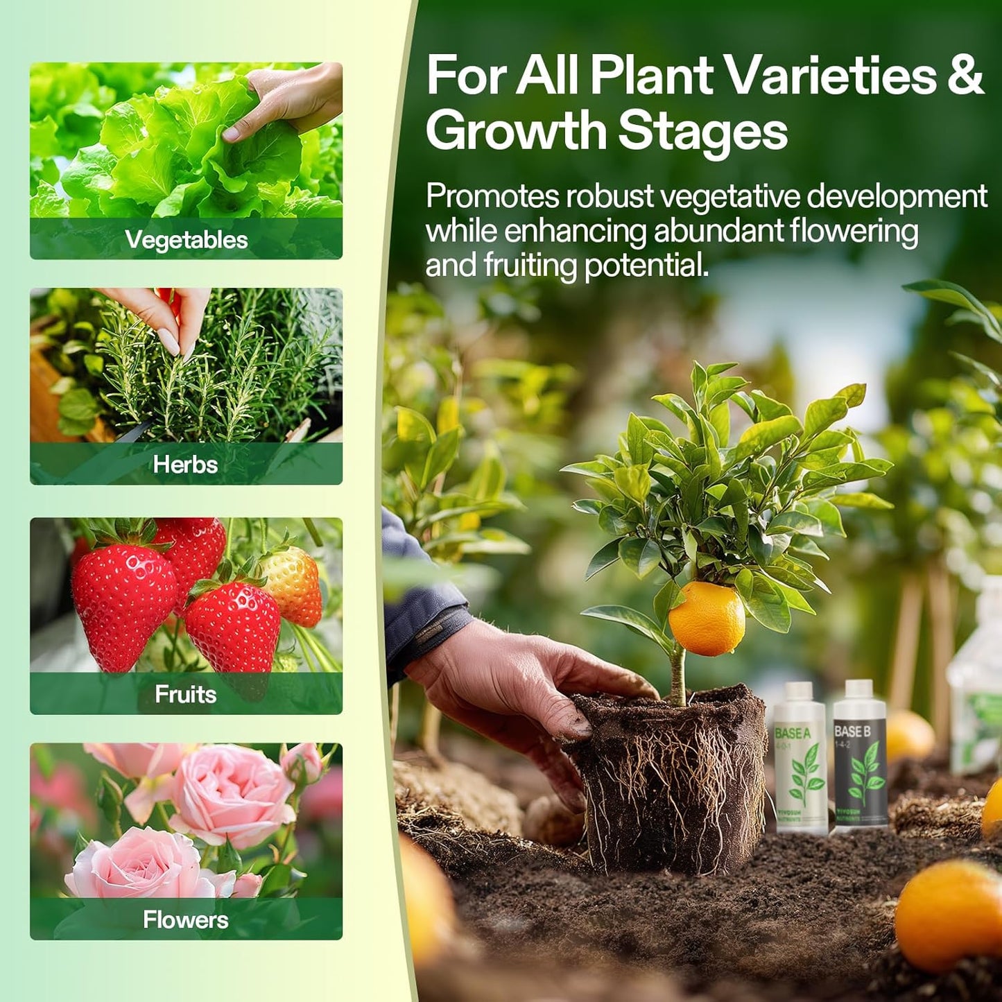 VIVOSUN Liquid Nutrients Base A & B Bundle, Grow Big Hydroponic Fertilizer, Supports Vegetative and Flowering Stages for Outdoor, Indoor Plants, Best Plant Food, Set of 8oz