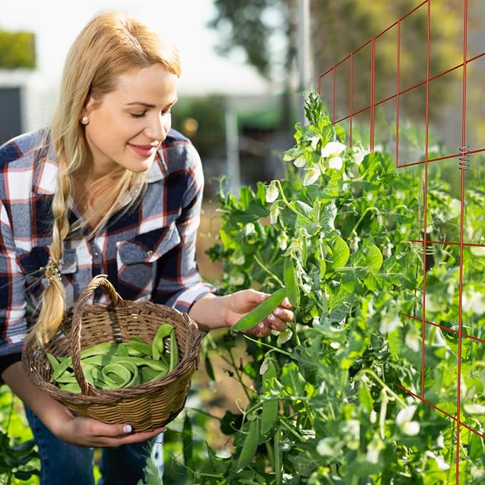 DOEWORKS Cucumber Trellis, 56" High Foldable A Frame Garden Trellis, 2 Pack, Plant Support for Climbing Cucumber, Beans, Tomatoes, Flowers, Red
