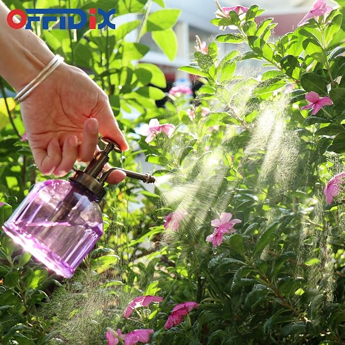OFFIDIX Glass Watering Spray Bottle,Plant Mister watering can indoor with Bronze Plastic Top Pump, Glass Small Watering Can for Garden, Plants, Cleaning (Purple)