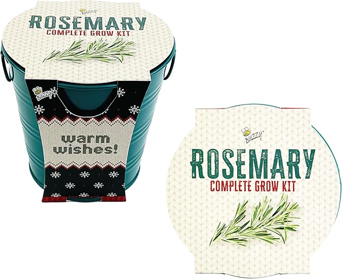 BUZZY Seeds Holiday Rosemary Grow Kit – Indoor Herb Garden Starter Pail with Non-GMO Seeds, Growing Medium, and Easy Instructions – DIY Christmas Gardening Gift, Stocking Stuffer