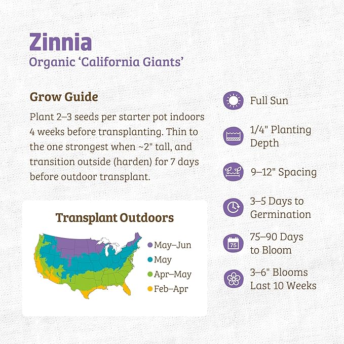 Back to The Roots 100% Organic Heirloom Seeds - Giant Zinnia Flowers Value Pack (420mg Total)