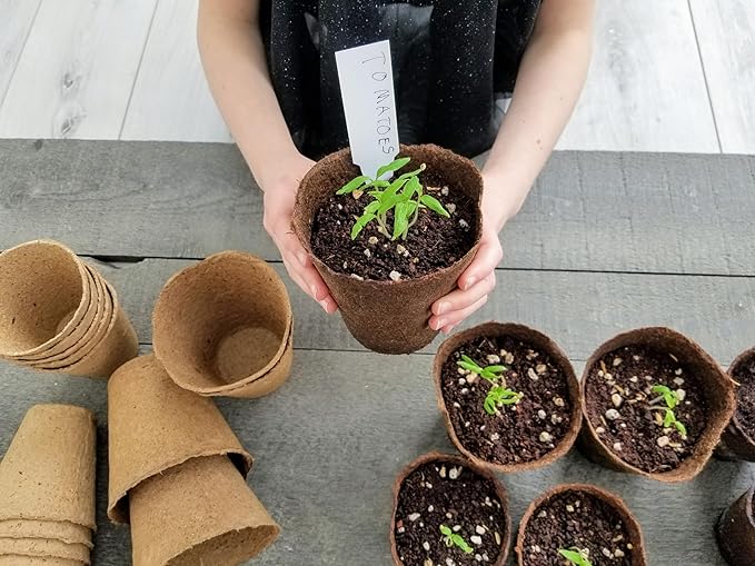 Daniel's Plants 4" Naked Pots | Large Natural Plantable Seed Starter Pots | OMRI-Listed Biodegradable for Seedlings | Enhanced Aeration | Earth Friendly - Peat Free | 30 Pack 4 Inch Round