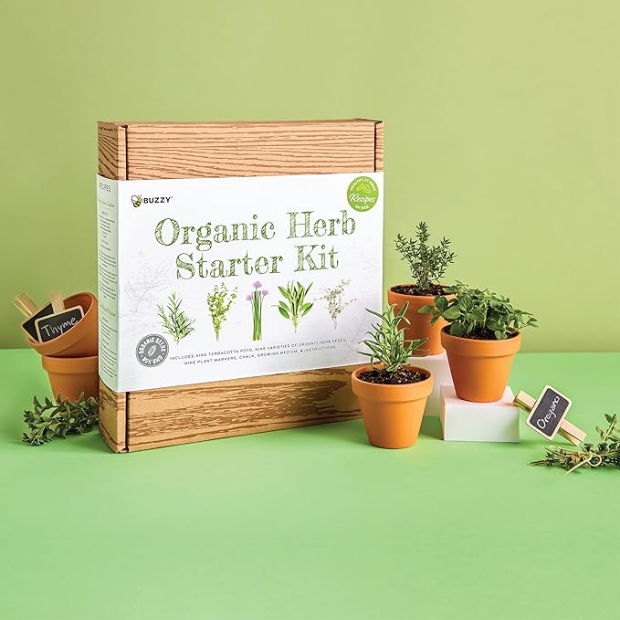 BUZZY Seeds 9 Pot Terracotta Grow Kit Organic Herb Seed Starter Set for Indoor Planting | Includes Seeds, Planting Pots, Soil and Plant Markers, Easy Gardening Gift, Kids Project, Gifts for Teachers