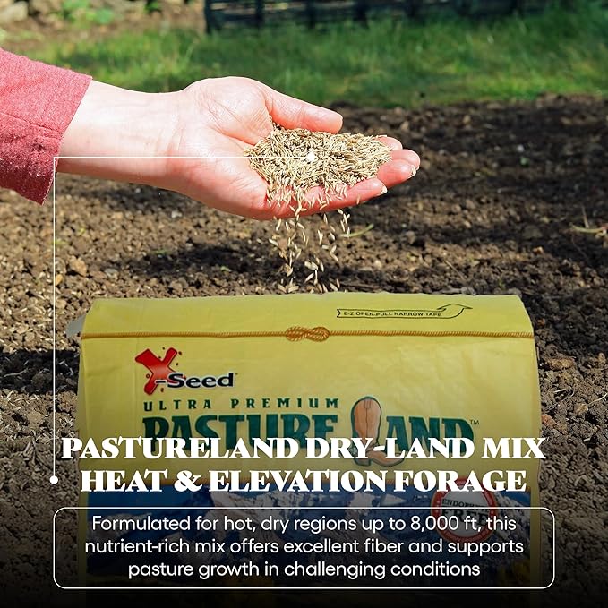 X-Seed Pasture Land Dry-Land Forage Seed Mixture with Micro-Boost – Tall Fescue Orchard Grass Ryegrass Endophyte Free Pasture for Safe Nutrition of Livestock, Formulated for Dry Areas – 7-Pound Bag