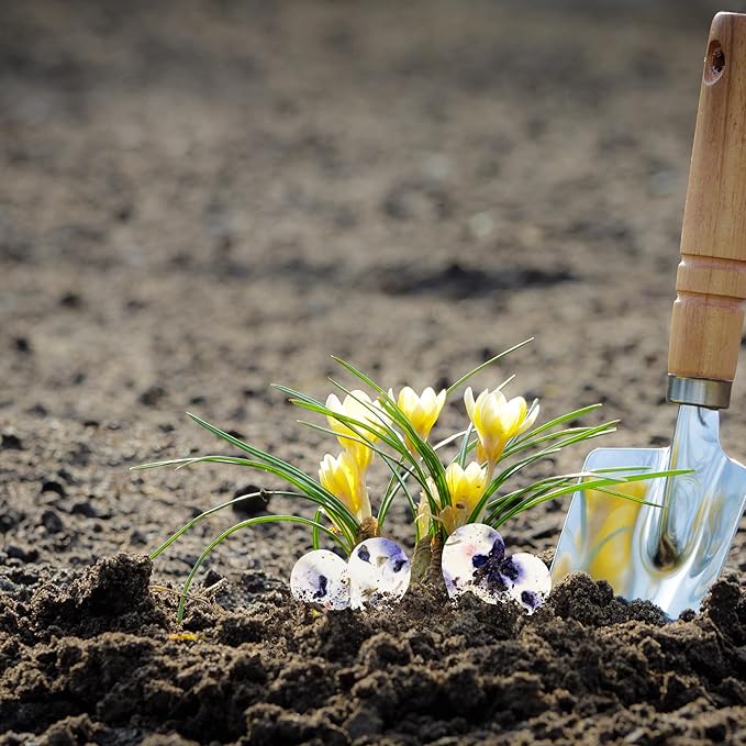 Heart Seed Paper – 50pcs Large Purple Plantable Wildflower, Writable & Plantable Gift for Moms, Plant Lover, & Teachers, Ideal for Weddings, Baby Shower, Memorial, & Celebrations