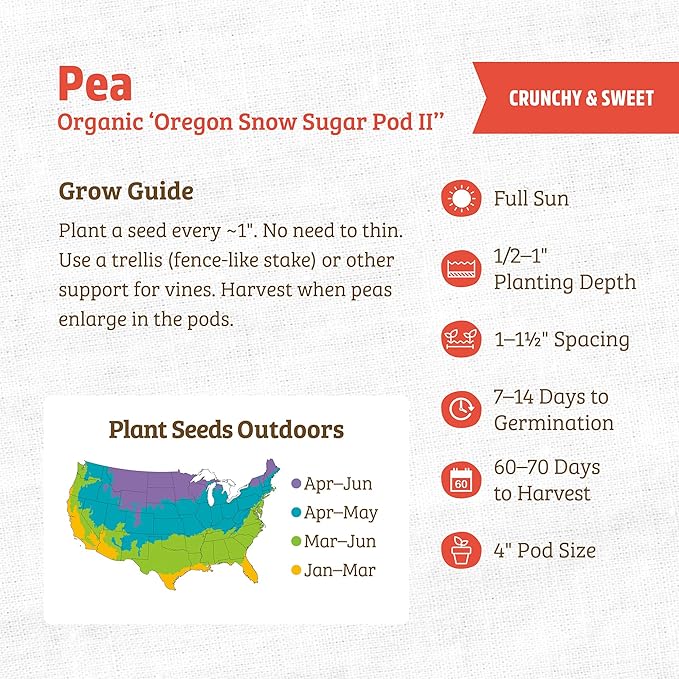 Back to The Roots 100% Organic Heirloom Seeds - Snow Pea Value Pack (16.8g Total)