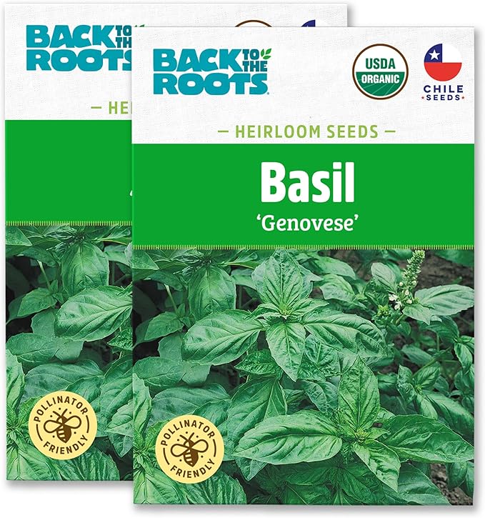 Back to The Roots 100% Organic Heirloom Seeds - Sweet Basil Value Pack (600mg Total)