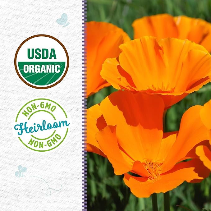 Back to The Roots 100% Organic Heirloom Seeds - Poppy Flower Value Pack (500mg Total)