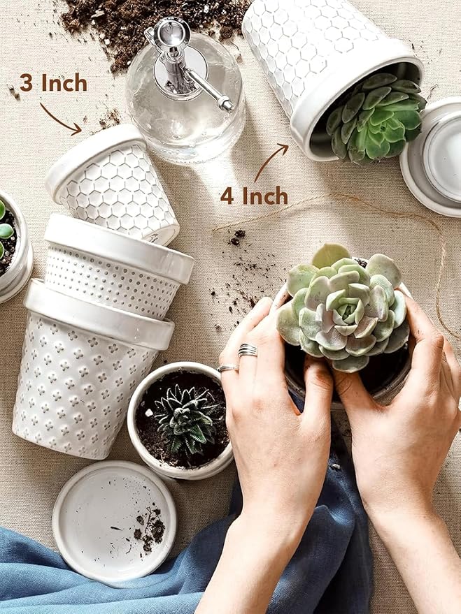 LE TAUCI Ceramic Succulent Pots, 4 Inch Small Plant Pot for Indoor Plant Cactus, Embossed Flower Pots with Drainage Hole & Saucer - Set of 4, Arctic White