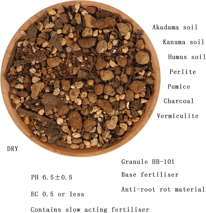 Succulent Cactus Aloe Vera Organic Potting Soil Mix (6 L) - Highly draining granular Soil,peat-Free (Made in Japan)