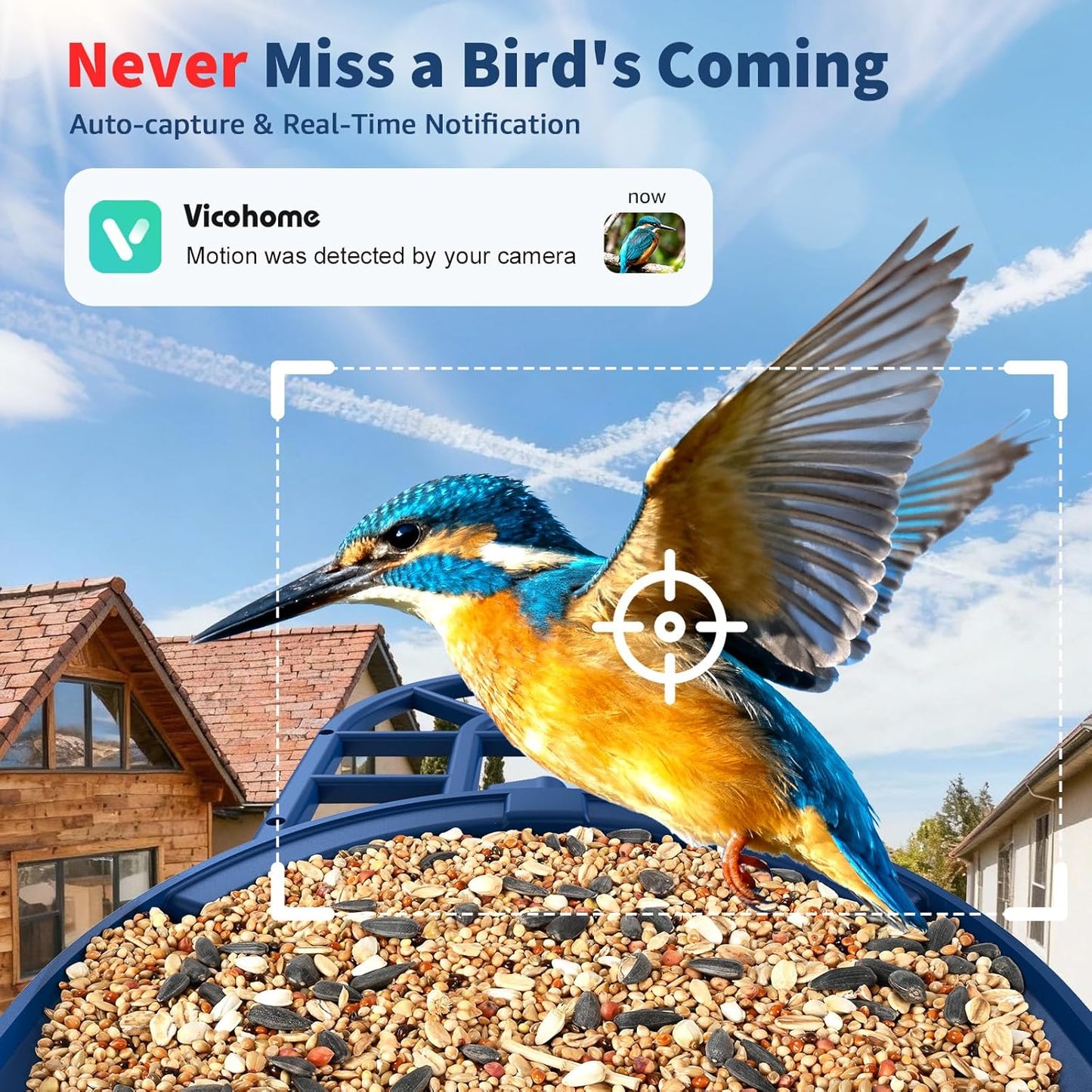 PeckCam® Bird Feeder with Camera with AI Identify 10000+ Birds Species, 3 Solar Panels, 2K Live View, Instant Arrival Alerts, Smart Bird House with Cam, Gift for Bird Lovers