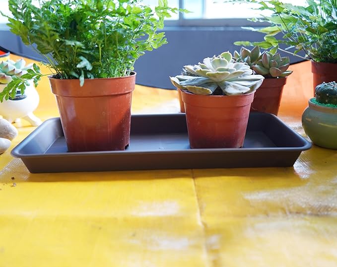 6 Pack Rectangular Plastic Plant Tray Saucer, Brown, 6 x 11 Inch, Modern Style, Durable, For Indoors & Outdoors, Protects Floor from Water, Fits Most Windowsills