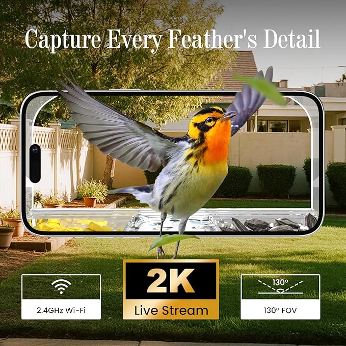 Smart Window Bird Feeder with Camera, 24/7 Powered for 2K HD Live View & AI Species ID, Wild Bird House with 3 Strong Suction Cups, Gift for Bird Watchers (Clear)