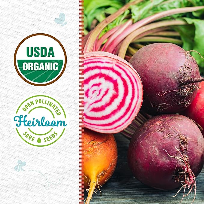 Back to The Roots 100% Organic Heirloom Seeds - Candy Stripe Beets Value Pack (1g Total)