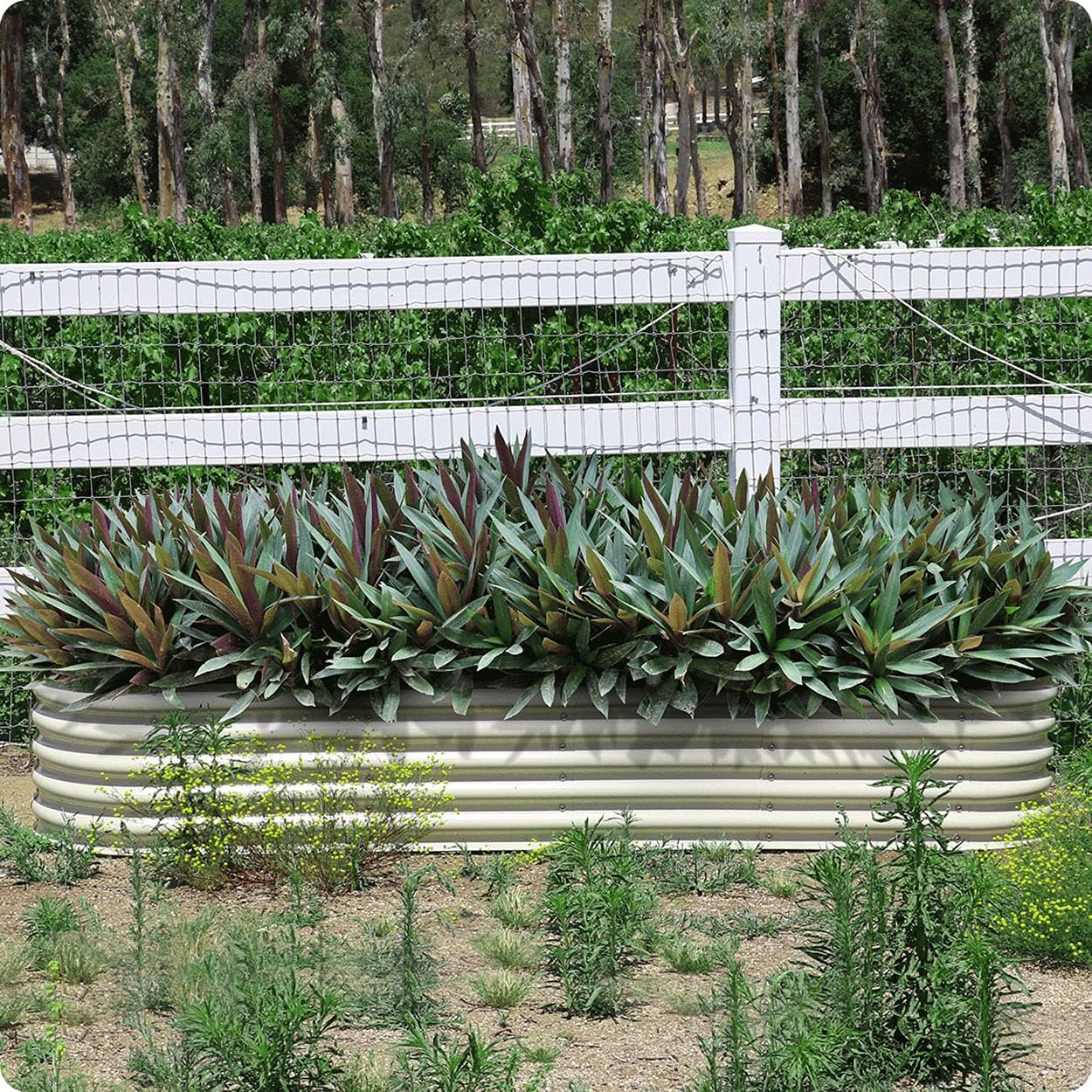 Olle 17" Tall 12-in-1 Sizes Raised Beds for Gardening Galvanized Planter for Vegetables Large Metal Raised Garden Beds Outdoors Size 5X5 Feets 8X2 Feets, Ivory 17" Tall