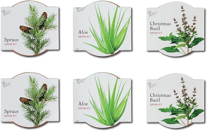 BUZZY Seeds Terracotta Mini Grow Pots | Herb, Plant, Flower Starter Kit for Kids & Adults | Assorted 6-Pack, Radiant Collection | Guaranteed to Grow | Best Indoor Grow Your Own Plant Gardening Gift