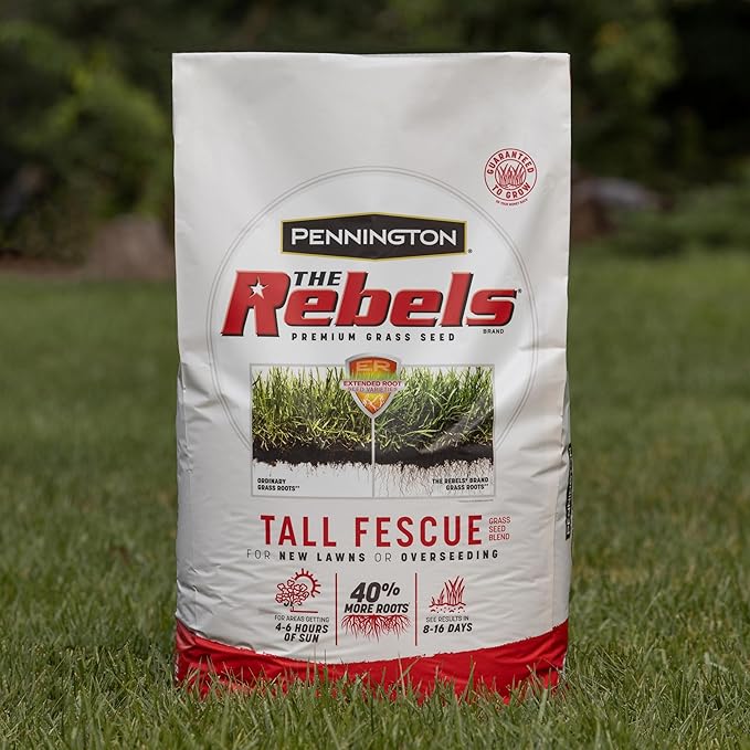 Pennington The Rebels Tall Fescue Grass Seed Mix 3 lb