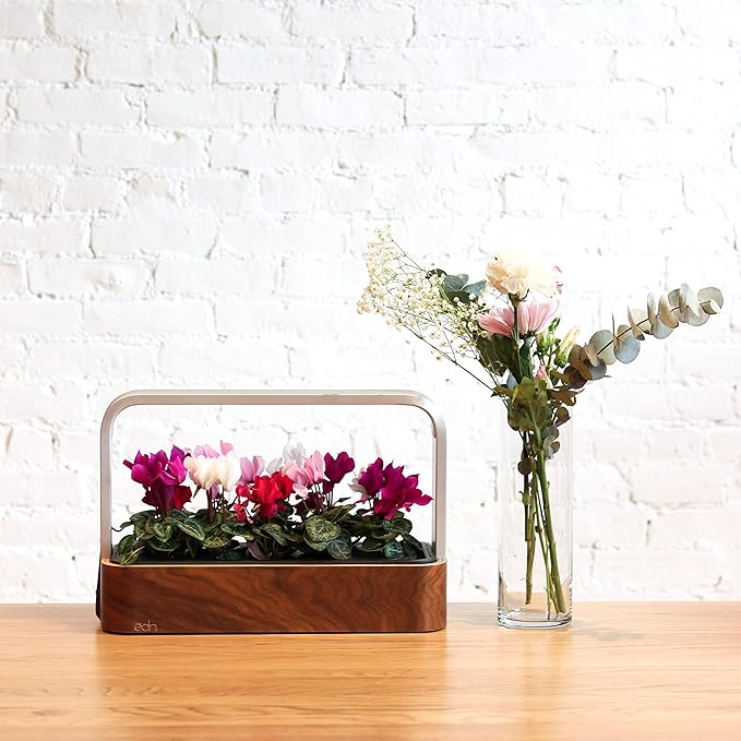 EDN SmallGarden with Basil SeedPods, Indoor Grow Smart Garden for iOS Devices - Fresh Home Grown Herbs, Plants and Flowers - Grow up to 10 Different Plants at Once