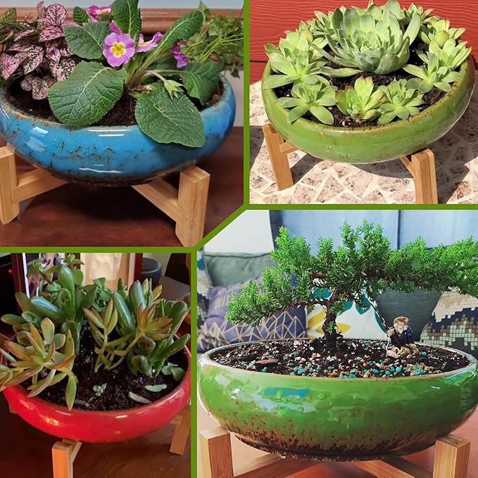 Succulent Pots - Large Succulent Planters Pots with Drainage, 10 Inch Ceramic Bonsai Pot with Stand Round Shallow Planter for Indoor/Outdoor Plants Decorative Garden Cactus Flower Container Bowl