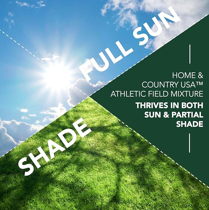 Athletic Field Grass Seed Lawn Seed (10 lb)