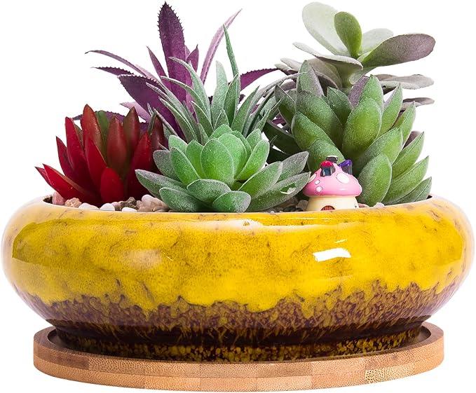 ARTKETTY Succulent Pots - 7.3 Inch Large Succulent Planters with Drainage Ceramic Bonsai Pots with Bamboo Tray, Shallow Planters for Indoor Cactus Plants Decorative Flower Plant Container