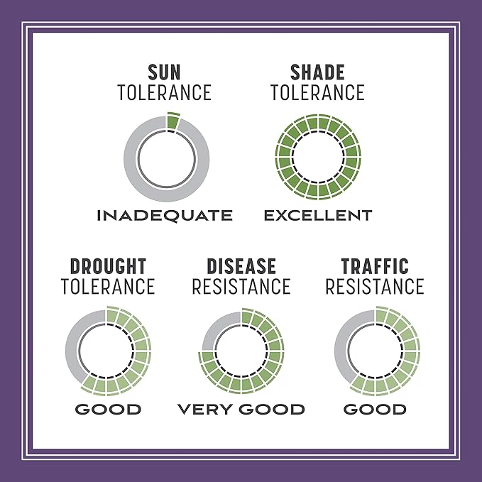 Pennington Smart Seed Dense Shade Grass Mix Bag 7 lb