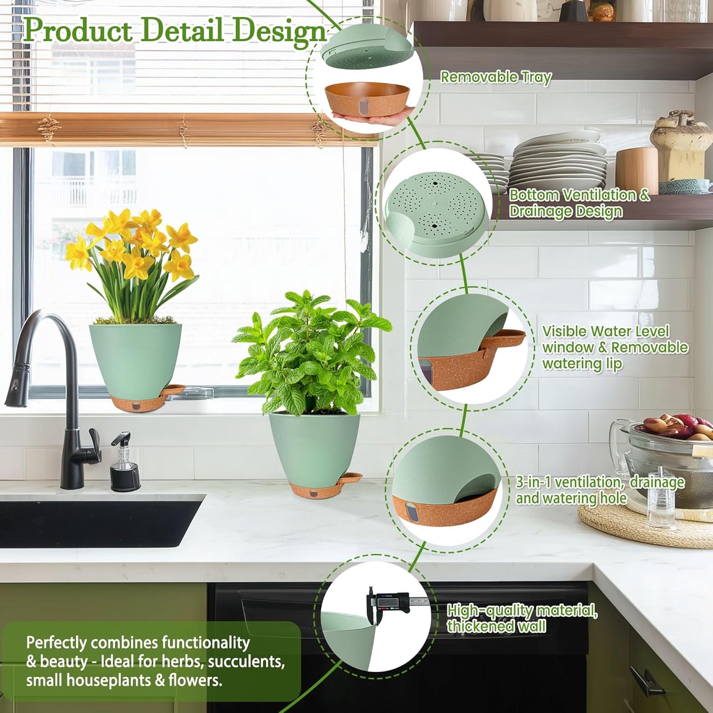 6 Inch Self Watering Pots for Indoor Plants (5-Pack) โ Small Plastic Planters with Water Window, Drainage Holes & Trays, Indoor Outdoor Flower Pots for Herbs, Succulents, Home Garden Decor (Green)