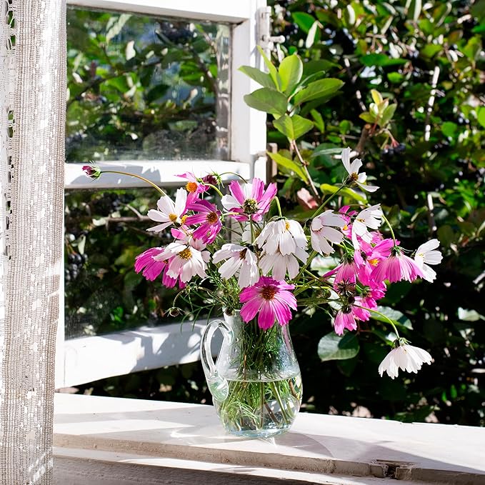 Back to The Roots 100% Organic Heirloom Seeds - Cosmos Flower Value Pack (1g Total)