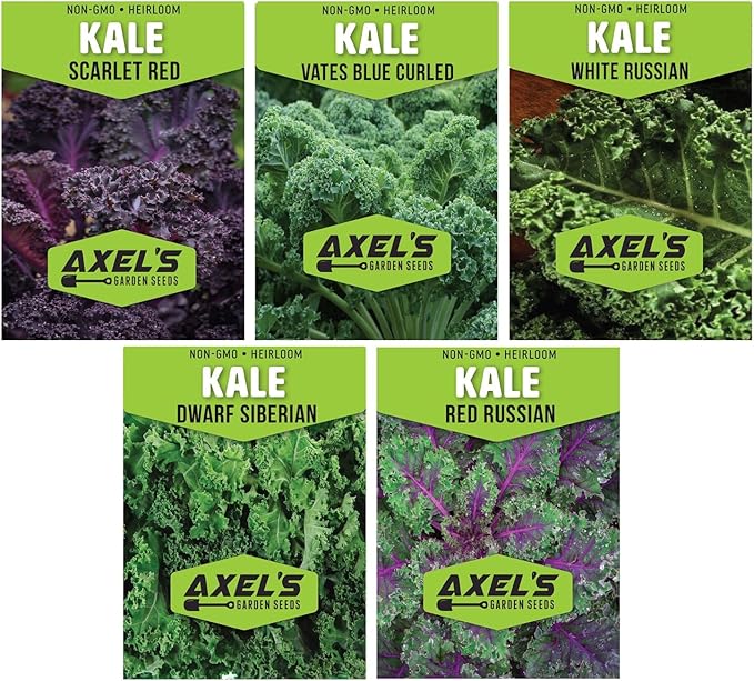 Kale Seeds for Planting - Plant & Grow Heirloom Kale Varieties Home Outdoor Garden – Easy Grow Planting Packet Instructions Included, Great Gardening Gift – 1 Packet of Each Variety