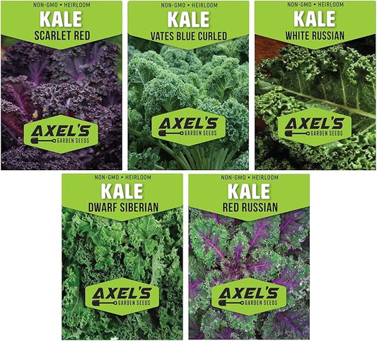 Kale Seeds for Planting - Plant & Grow Heirloom Kale Varieties Home Outdoor Garden – Easy Grow Planting Packet Instructions Included, Great Gardening Gift – 1 Packet of Each Variety