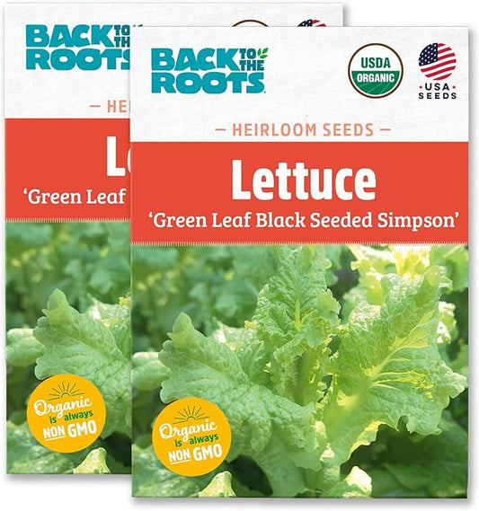 Back to The Roots 100% Organic Heirloom Seeds - Green Leaf Lettuce Value Pack (840mg Total)