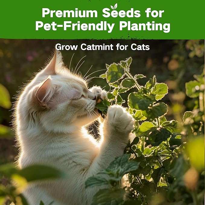 Lush&Dew Pet-Friendly Heirloom Seed Bank, Gardening Gifts for Women Men, 16 Varieties 15,000+ Non-GMO Seeds for Planting Herbs Flowers Vegetables in Raised Bed Windowsill, Annuals & Perennials