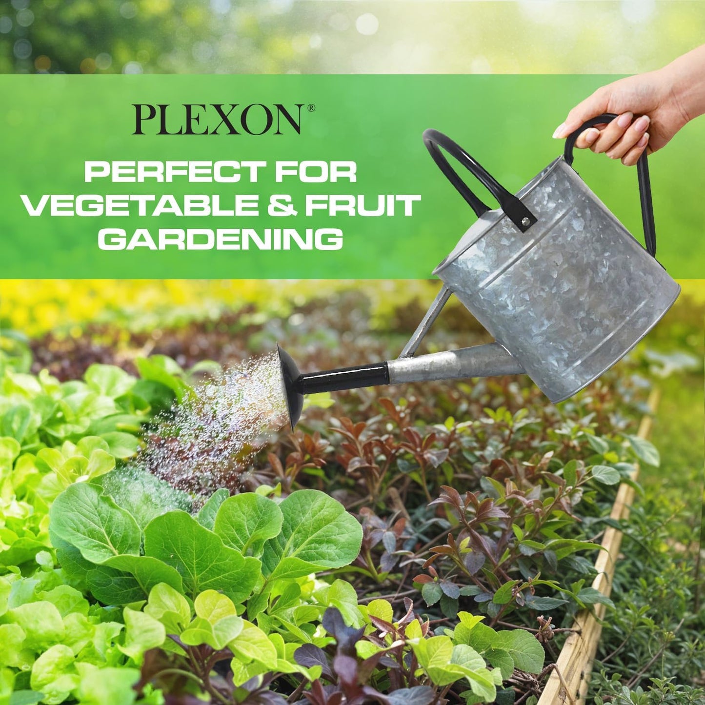 Plexon 1 Gallon Metal Watering Can Outdoor, Flower Plant Gardening Garden Large Galvanized Watering Can Pot Pitcher, Steel Black Handles and Removable Spray Spout