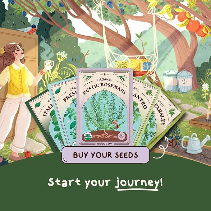 Seedboy Organic Rosemary Seeds for Planting Indoor and Outdoor, Non-GMO and USDA Certified Herb Seed Packet for Hydroponic Garden Indoor or Planting Outdoors (Rosemary)