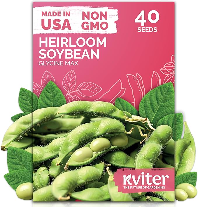 KVITER 40 Soy Bean Midori Giant Edamame Seeds (Glycine max) - Green Soybean, Soy Beans Organic Non GMO Variety, Sweet Nutty Flavor - Heirloom Vegetable Seeds for Planting Outdoors in Home Garden