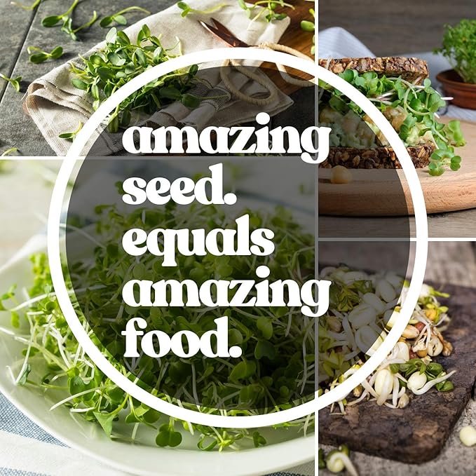 Speckled Pea Sprouting Seeds - 25 g Packet ~75 Seeds - Certified Organic, Non-GMO Green Pea Sprout Seeds - Sprouts & Microgreens