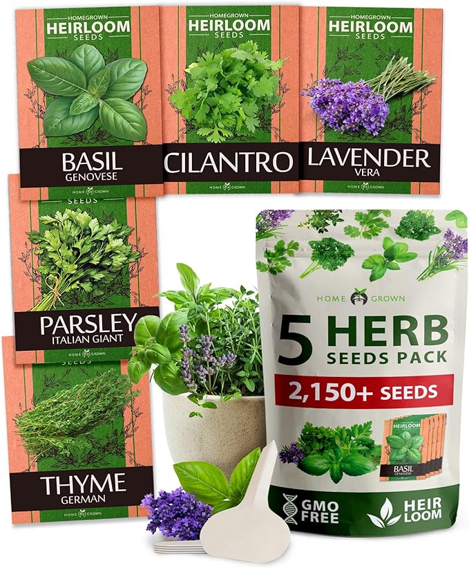 HOME GROWN 5 Herb Seeds for Planting 2,150+ Non-GMO Heirloom Seeds | Extra Large Variety Pack Herb Kit โ Indoor Outdoor & Hydroponic | Culinary Seed Set | Grow Your Own Herbs | Gift for Beginners