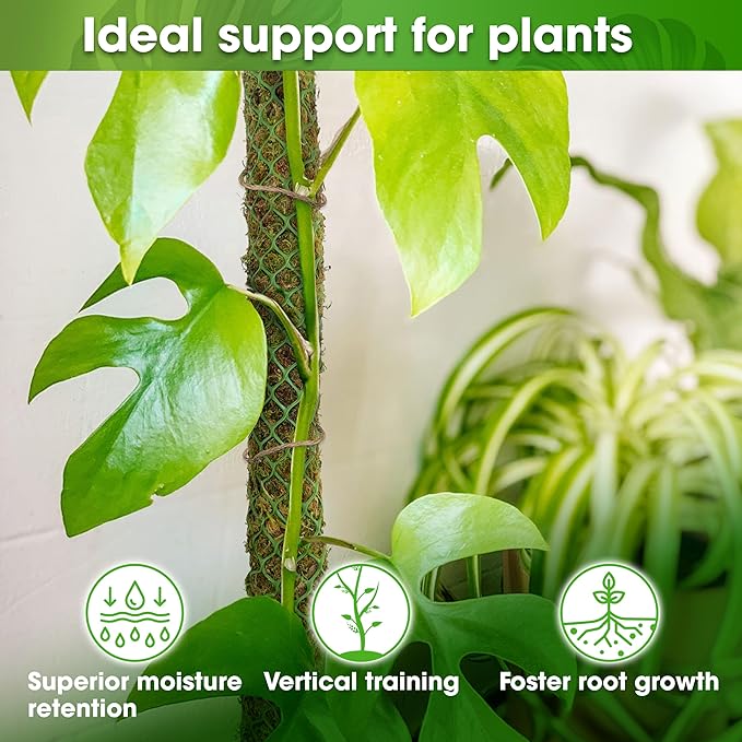 DUSPRO 2 Pack 25ββ Mesh Moss Pole for Climbing Plants, Natural Moss Pole Monstera Plant Support, Real Moss Poles for Plants Indoor, Moss Stick for House Plants, Moss Stakes for Climbing Plants