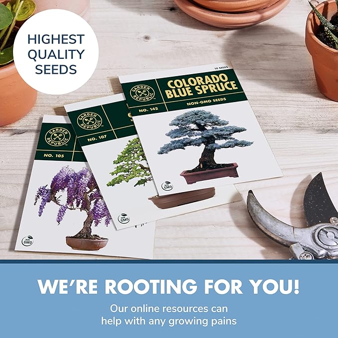 Garden Republic Bonsai Tree Kit - Grow 3 Mini Bonsai Trees, Indoor Plant Growing - Starter Kit with Seeds, Soil, Planters & Shears, Gardening Gifts for Women, Fathers Day Gardening Gifts