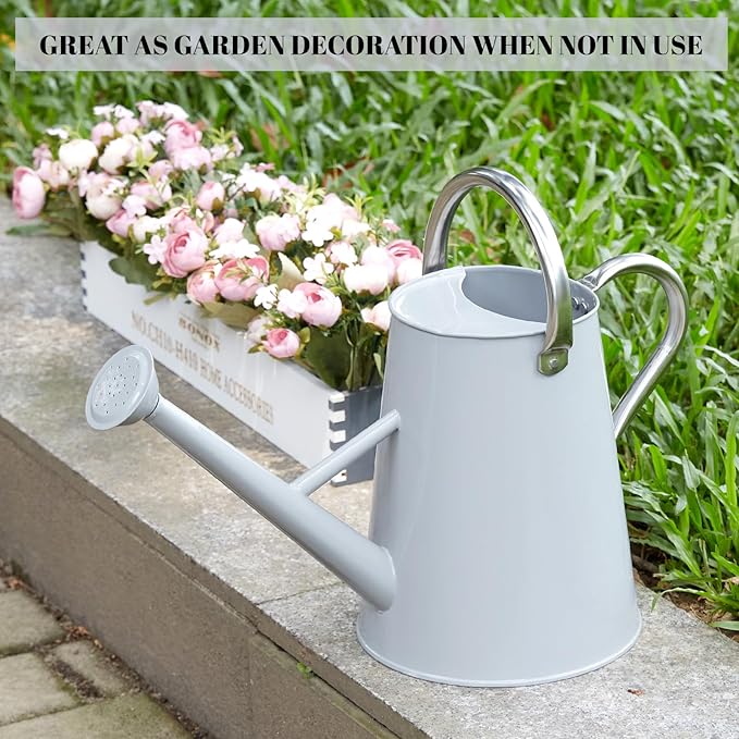 1.5 Gallon Watering Can for Outdoor Plants,Large Metal Plant Watering Pot with Removable Spout,Flower Garden Water Can Watering Pot,Galvanized Steel Watering Can with Stainless Steel Handles,Grey