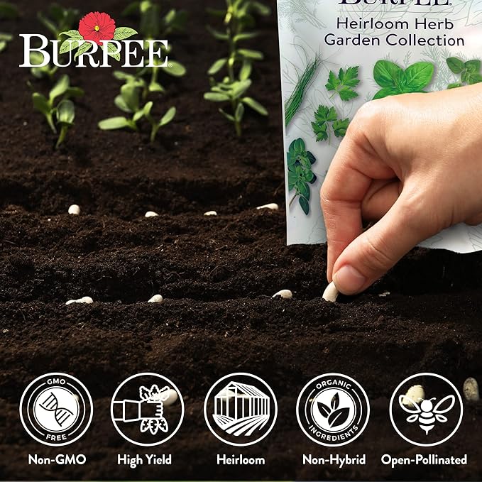 Burpee Heirloom Herb Seeds Variety Pack, Non-GMO, 16 Herbs - 15,000+ Seeds with Basil, Chives, Catnip, Chamomile, Cilantro, Dill, Lavender, Oregano, Parsley, Rosemary, Spearmint, Sage, Tarragon, Thyme