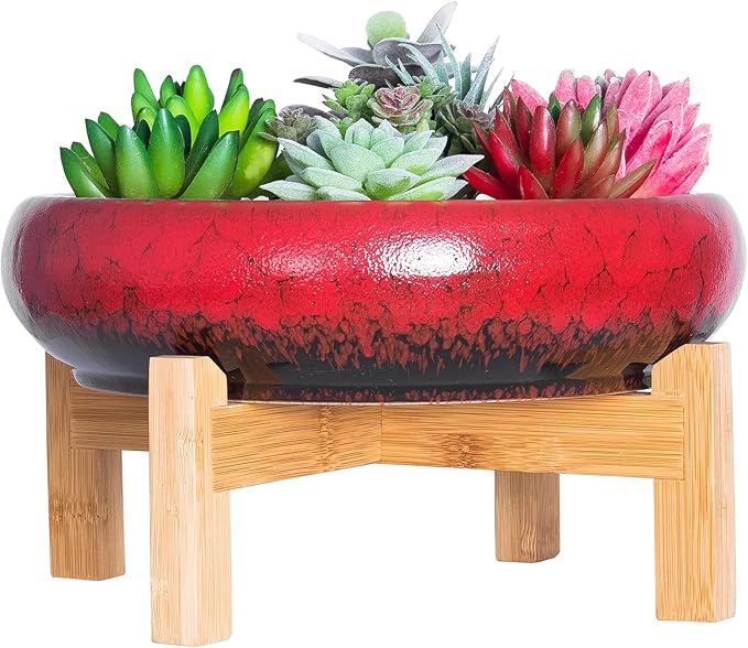 ARTKETTY Succulent Pots - 10 Inch Ceramic Bonsai Pots with Drainage Stand, Large Shallow Planters for Indoor Plants Decorative Garden Cactus Flower Plant Container Bowl