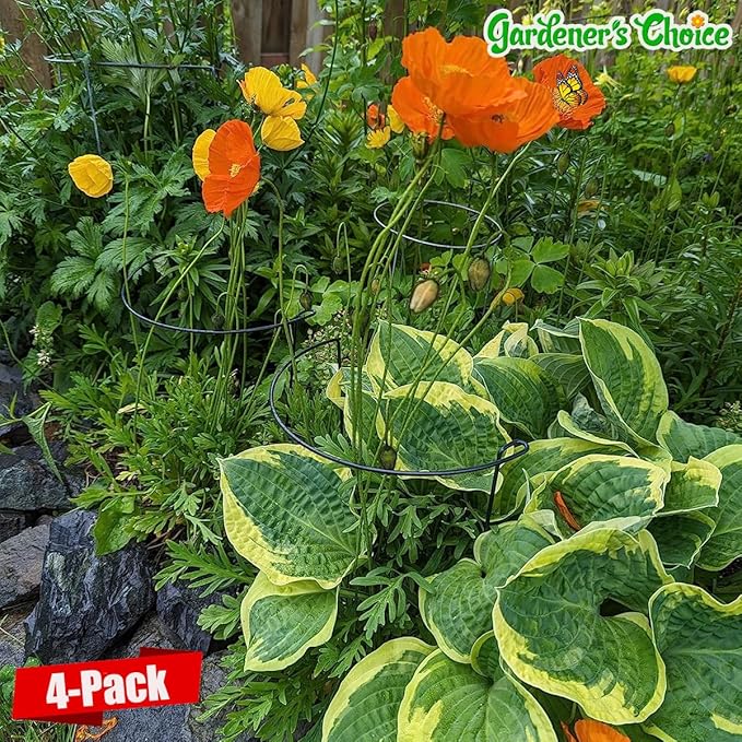 Snake Plant Support Stake - Half Round Peony Stake and Support, Hydrangea Support Cage Ring Stabilizer, Plant Supports for Potted Indoor Plants (4 Pack, 14x8Inch)