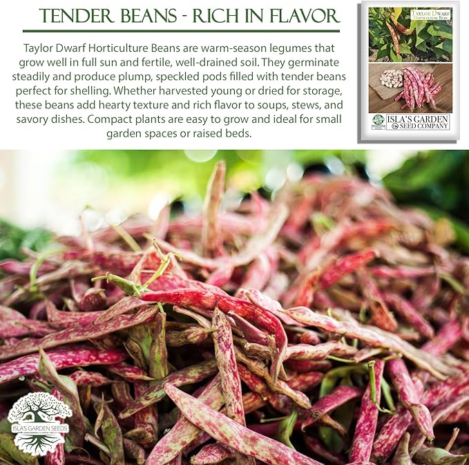 Taylor Dwarf Horticulture Bush Bean Seeds (Phaseolus vulgaris) – 25+ Non-GMO Heirloom Cranberry Bean Seeds, 85% Germination Rate, by Isla’s Garden Seeds, Great for Cooking & Small Gardens