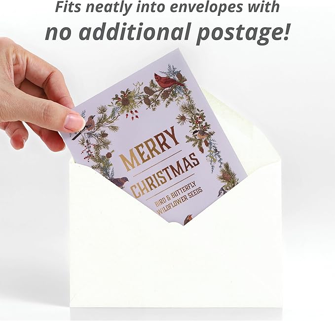 Bentley Seeds Co. Merry Christmas Wreath of Birds Holiday/Christmas Gift Tags | Non-GMO, Non Coated Bird & Butterfly Pollinator Wildflower Seed Mix | 25 Seed Packets
