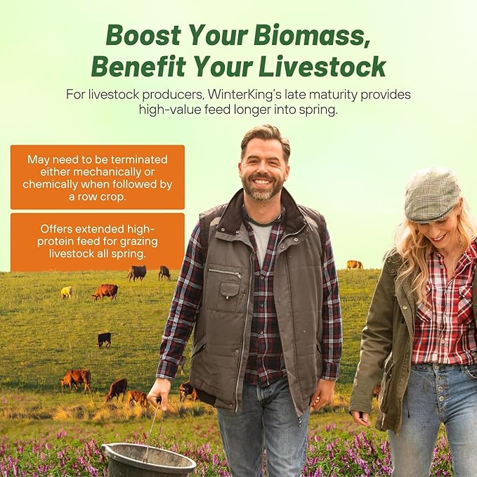 Outsidepride Hairy Vetch Cover Crop Seeds - 5 Lbs Cold Tolerant, Winter Hardy - Ideal for Soil Improvement, Green Pasture, Hay & Livestock Forage - Pollinator Friendly Garden Seeds, Ground Cover