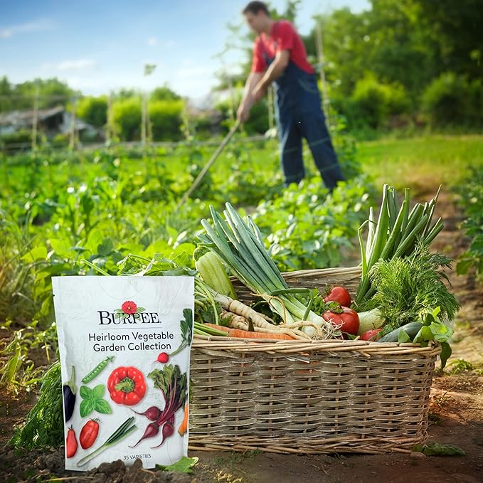Burpee Heirloom Vegetable Seeds, Variety Pack with 35 Varieties of Plant Seeds, 30,000+ Garden Seeds - Mixed Non-GMO Seeds with Select Varieties of Lettuce, Beans, Tomatoes, Peppers, Squash and More