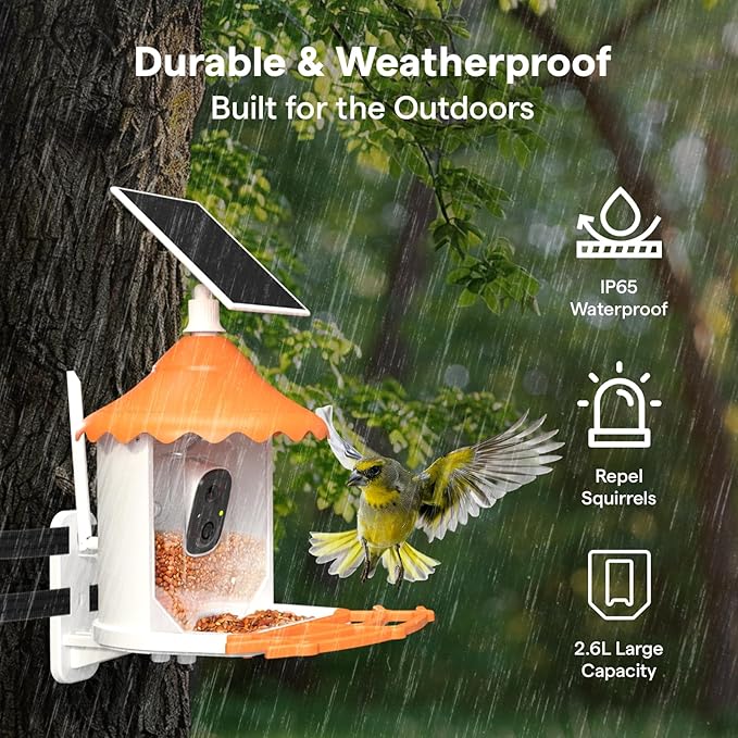 BirdsView Bird Feeder with 2K Ai Camera, Solar Panel, Hummingbird Feeder, Bird House, Live Alerts & Species Recognition โ Ideal for Bird Lovers