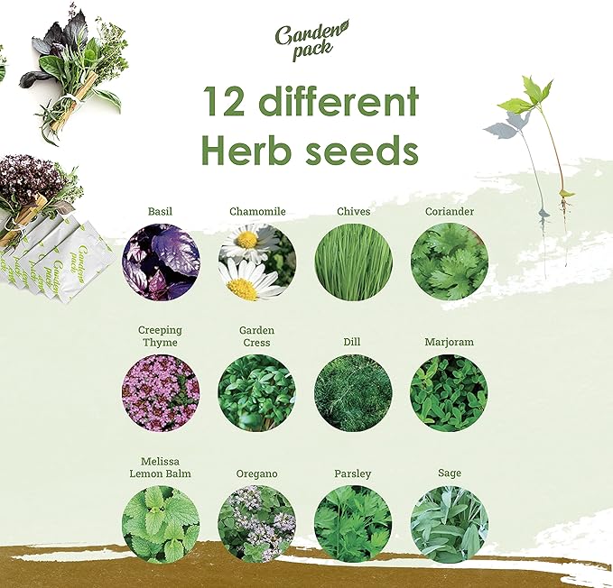Grow Your Own Herbs Garden Kit - 12 Herb Seeds Variety Pack - Basil, Mint, Rosemary Seeds & More Packets in a Box with Growing Manual by Garden Pack