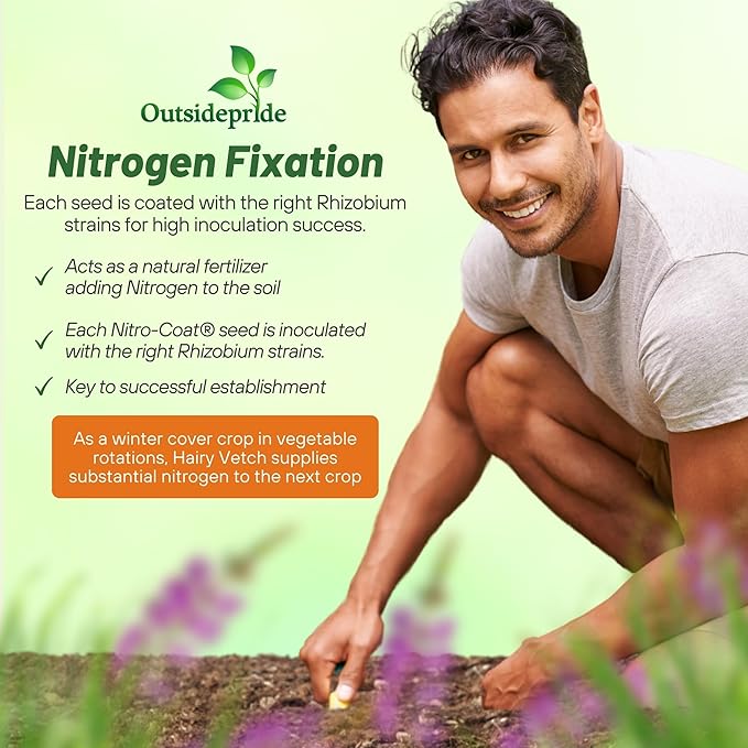 Outsidepride Hairy Vetch Cover Crop Seeds - 1 oz Cold Tolerant, Winter Hardy - Ideal for Soil Improvement, Green Pasture, Hay & Livestock Forage - Pollinator Friendly Garden Seeds, Ground Cover